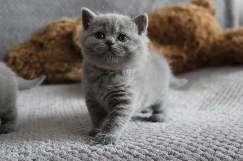 Miot „N" 2019, zdjęcie 13