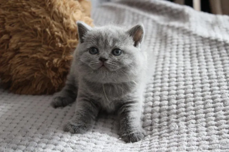 Miot „N" 2019, zdjęcie 16