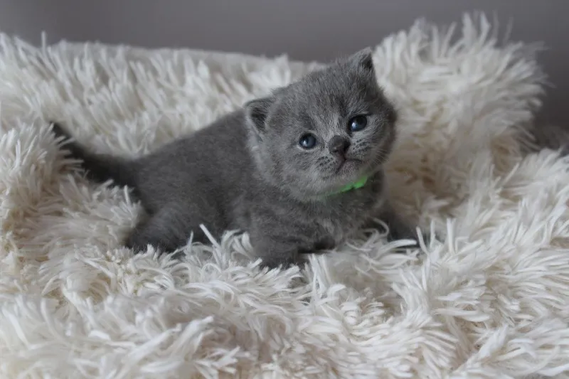 Miot „N" 2019, zdjęcie 19