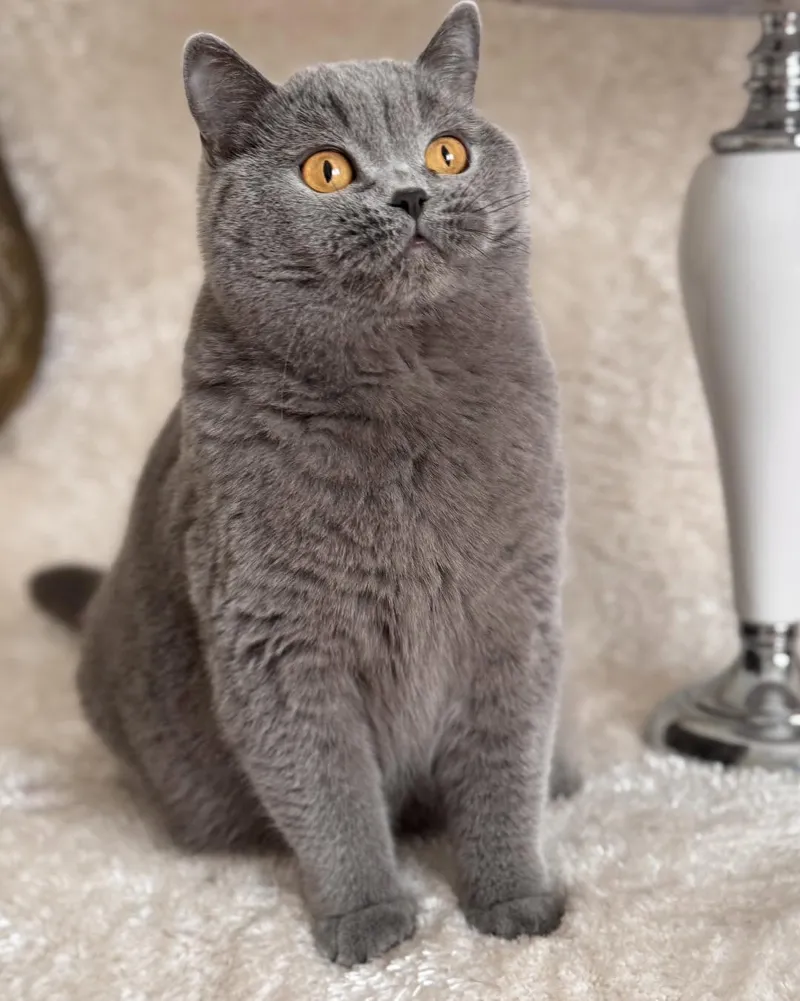 Heidi Marvil*PL
